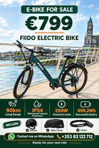 FIIDO C11 Electric Bike