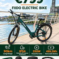 FIIDO C11 Electric Bike