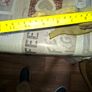 Large Old Brass Horse Ornament, Postage Available or Collection Image 4
