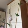 Stunning vase with Silk Flowers (Flowers are from Arnotts so exceptional Quality) Image 4