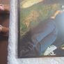 Vinyl the verve. Image 5
