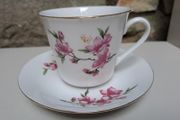 Tientsin Porcelain cup and saucer