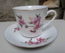 Tientsin Porcelain cup and saucer