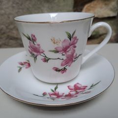 Tientsin Porcelain cup and saucer
