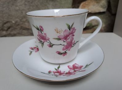 Tientsin Porcelain cup and saucer