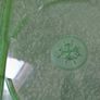 Xbox Series X Series One Branded Green Game Cases Image 5