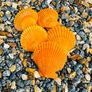 Memorial stone, grave stones polished pebbles Image 2