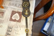 Horse Brass Martingale Decorative Brass Plaques Mounted on a Leather Strap
