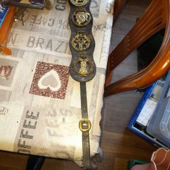 Horse Brass Martingale Decorative Brass Plaques Mounted on a Leather Strap