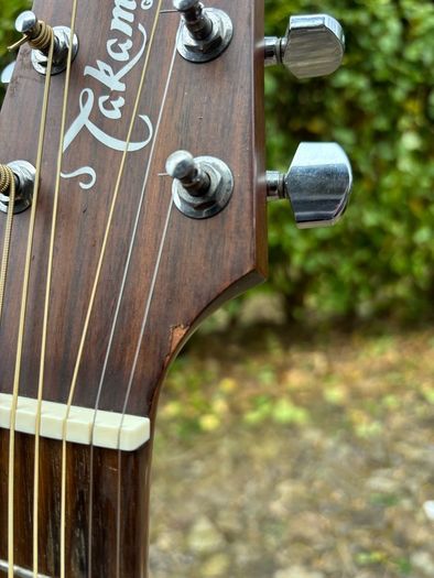 Takamine G320-NS