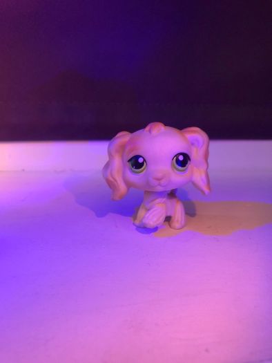 Littlest pet shop