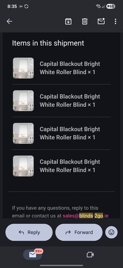 Black out blinds