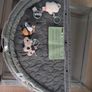 Activity mat Image 2