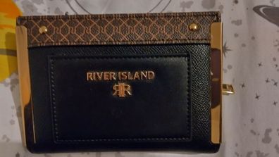 River island purse