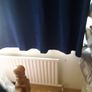 heavy drapes Image 4