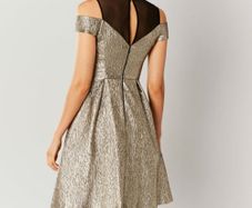 Coast Jiana Metallic Bardot Gold Dress