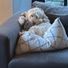 Charlie_Harvey05