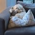 Charlie_Harvey05