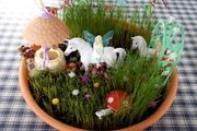 Fairy gardens