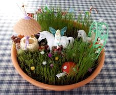 Fairy gardens
