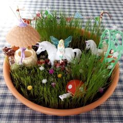Fairy gardens