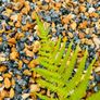 Marble chips, grave stones, chips, pebbles, pearl Image 9