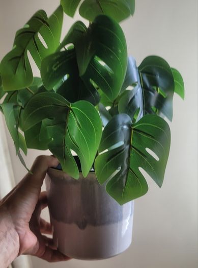 Artificial Monstera Plants in Ceramic Pots x 2