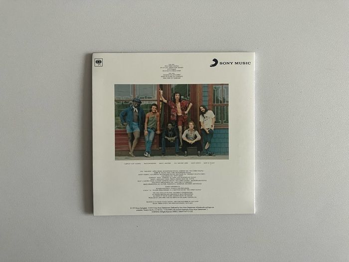 Bruce Springsteen Wild Innocent CD Digipak NM