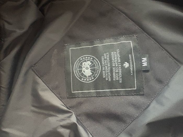 canada goose
