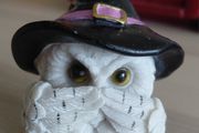 Halloween Decorations