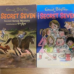Secret Seven Books (price is for both)