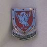 Western Province Blood Transfusion Service (WPBTS, South Africa) - blood donor's badge (c.1960) Image 4