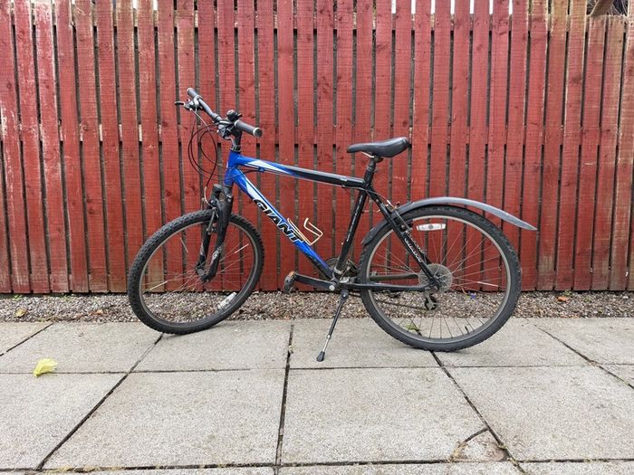 Giant bike