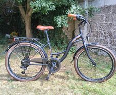 LUCHS Dutch-style city bicycle (fully serviced, hardly used)