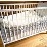 Baby Cot 60x120 cm & mattress Image 2
