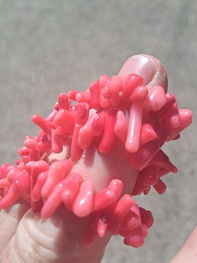 3 x Natural Blood Orange Coral Bracelets