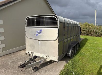 Cow box