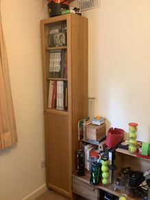 Bookcase,  shelves, library
