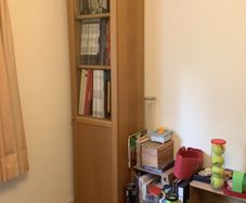 Bookcase,  shelves, library