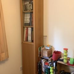 Bookcase,  shelves, library
