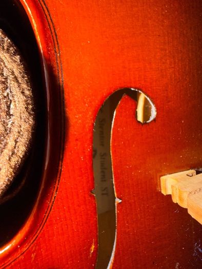 Stentor Student Violin 1/2