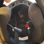 Bell helmet size XL great for new laws with scooters Image 4