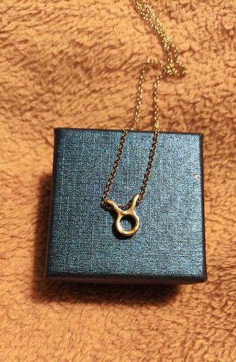 Taurus Zodiac Necklace Celestial & Personal Charm