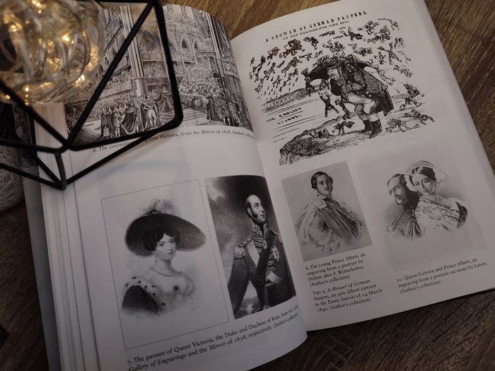 Queen Victoria's Stalker: The Strange Story of the Boy Jones ! Hardcover ! 2010 by Amberley ! True Crime History !