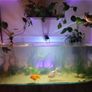 AquaOne AquaSys 300 Aquarium Image 5