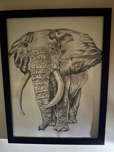 drawing