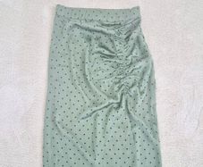 zara skirt BNWT