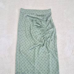 zara skirt BNWT