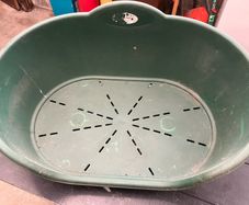 plastic dog bed