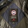 canada goose Image 4